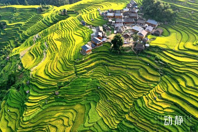 “爽居”贵州，沉浸黔东南！用美丽回答一切