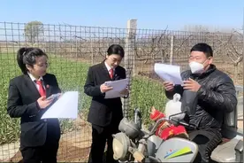 【人民法庭新枫景】满城法院：司法服务到田间，护航春耕到地头图片