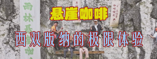撸猪、攀岩……云南这些咖啡馆太会玩