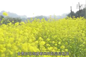 乡村新引力|“诗与远方”焕活古村图片