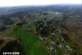 春雨润万物 金沙县安底镇温泉村油菜花开春意浓图片