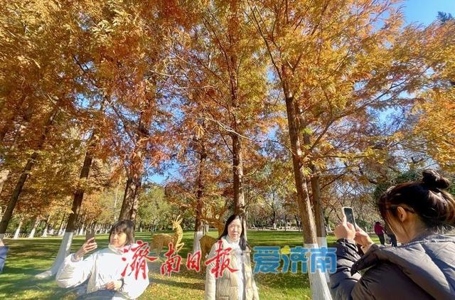 一年四季 泉在济南丨落叶绘“萌鹿”  济南五龙潭打卡冬日限定浪漫