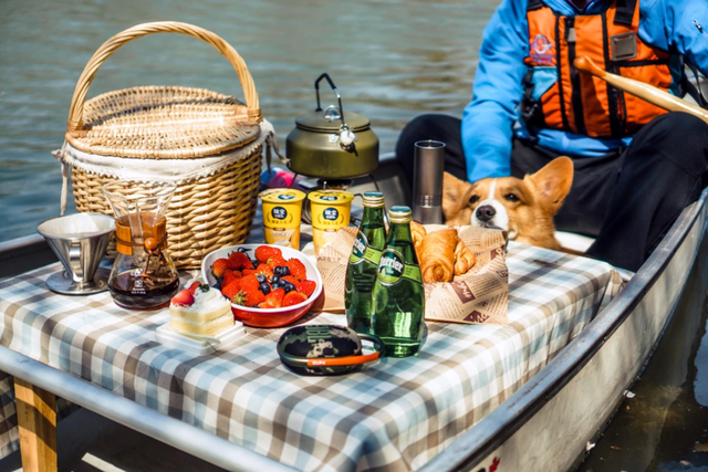 域见上海·域见奉贤｜海湾国家森林公园最新红杉实拍已送达，还有更多攻略等你来看！