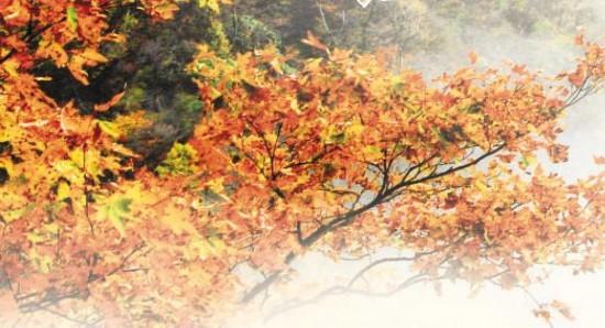 六安快进慢游的高品质度假之旅