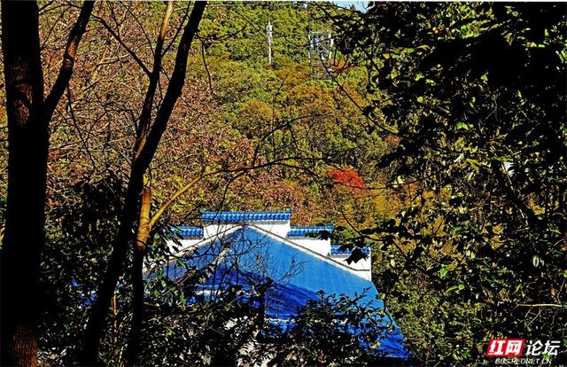 岁暖时刻丨无需远行，中坡山便是怀化的诗与远方