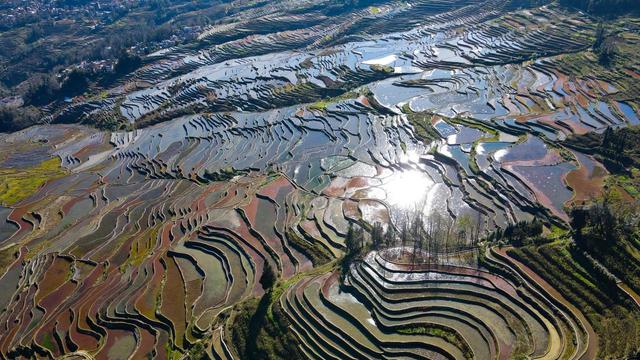 美好生活在云南｜超出片！元阳哈尼梯田最佳观赏期来了