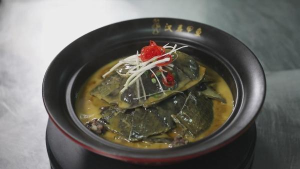 汉寿文旅重庆吆喝 常德野生动物世界走进山城