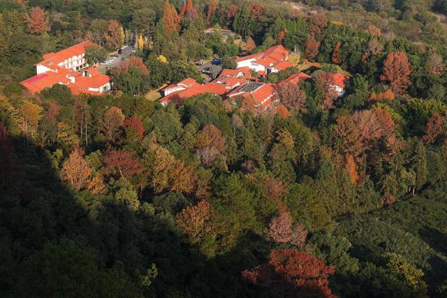 武夷山国家公园武夷宫景区层林尽染最美冬景