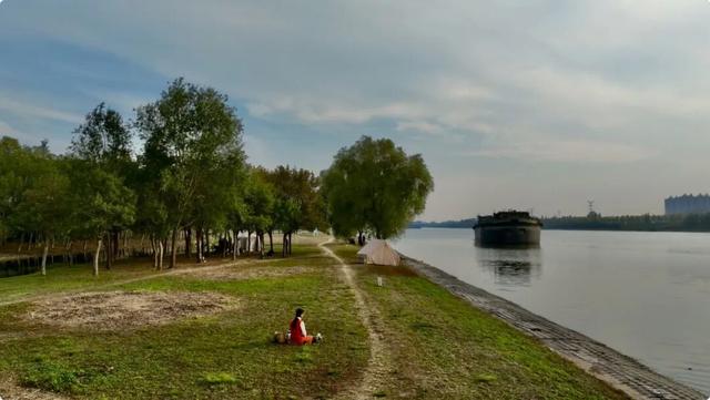 谁说初冬只有萧瑟？来太白湖新区解锁绚烂生机打卡地
