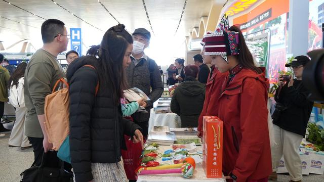 石林2026新春活动暨阿诗玛文化机场沉浸体验活动启幕