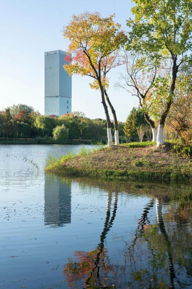 湖光金叶织秋韵