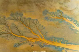 绝美！钱塘江潮汐树意境如古画图片