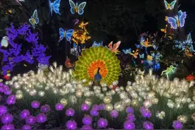 免门票！广西多家景区宣布→图片