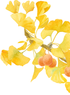 人从众嗨翻全场！带你直击大田广平银杏孝文化节～