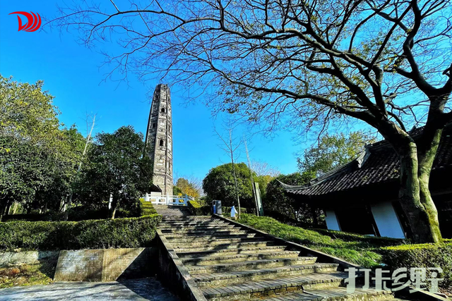 打卡乡野丨新年第一站，去上海离宇宙最近的村子，仰望星空，脚踏田野，开启元气新年