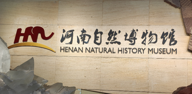 免费溜娃！郑州这9个室内场馆好玩又涨知识！