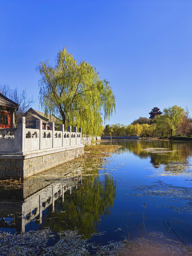 园博园初冬，赴一场静美之约