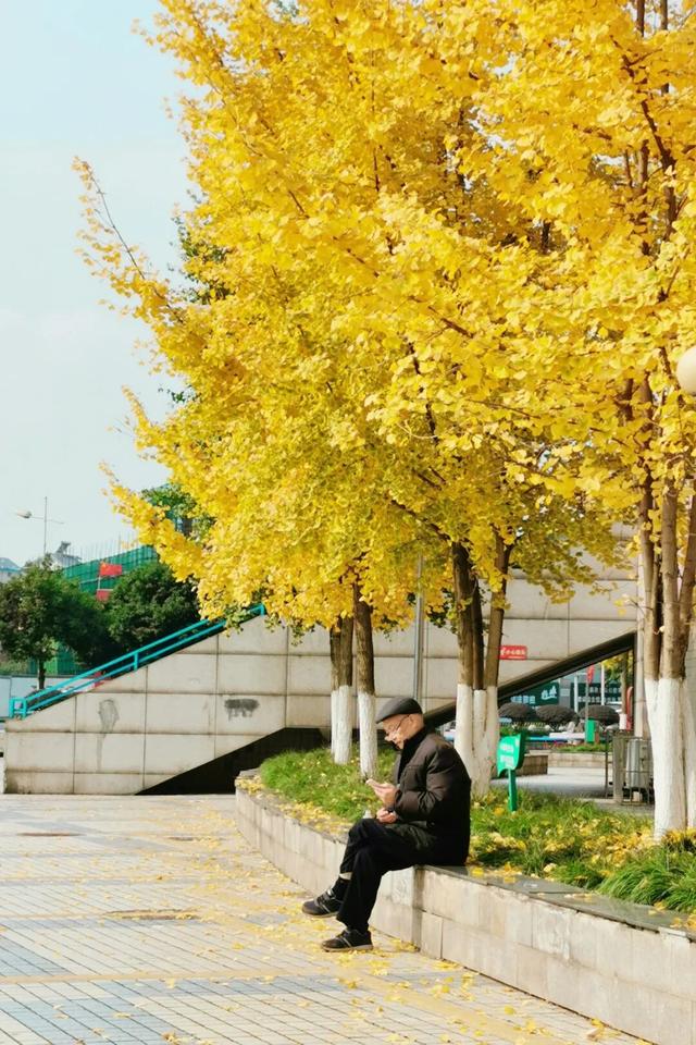 宜宾，含“金”量超高！