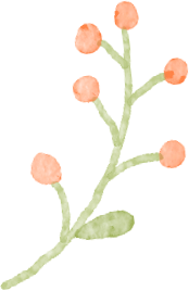 南宁秋日赏花攻略，带你一键解锁这份限定版的秋花图鉴！