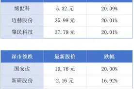 澳门2024年入境旅客增长超两成；深圳首条海底隧道正式通车丨大湾区财经早参图片