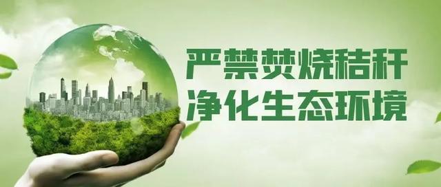 我的运河我的歌丨唱响运河之四：运河交响
