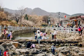 杨家山里乡村振兴示范片区：昔日穷山沟蝶变“聚宝盆”图片