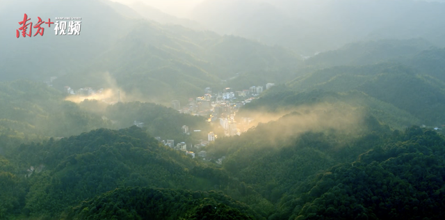 15期特别策划，带你看见最美的惠州｜寻迹218最美公路