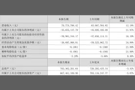 兆日科技：2023年上半年亏损3565.51万元图片