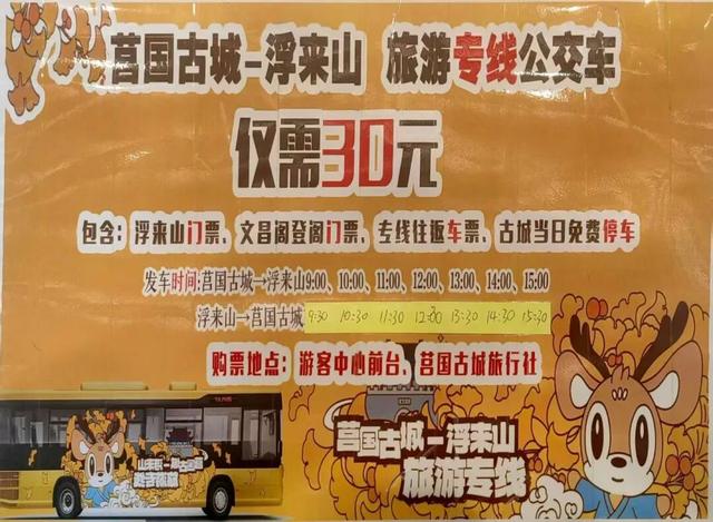 就是这个周末！“古城+银杏”！中韩市集+金色瀑布！