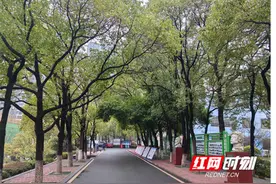 冷水滩区京华中学开展“爱绿、捐绿、植绿、捐绿”主题活动图片