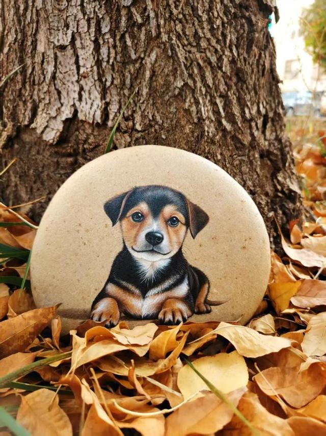 定了！12月6日-7日，就在淄博这里→