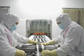 “宜宾养殖·大邑加工·全球供应” 这条鳗鱼立志成为高端特色水产品牌图片