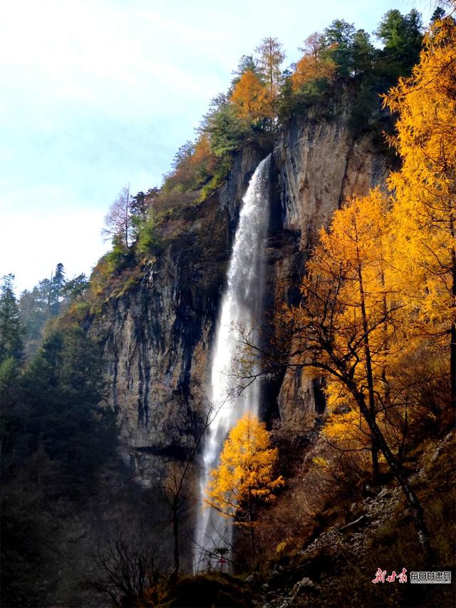 秋染官鹅沟 醉在山水间