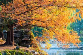 颐和园美成了高饱和度油画图片