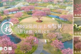 抓住假期尾巴，去金山来场治愈系出游图片