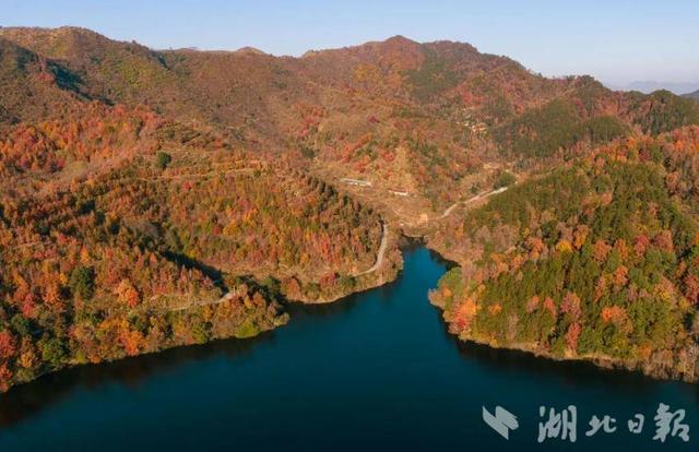 蕲春塔林的秋天，让人不愿离开