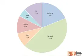 2024年第二季度美国Apple Watch市场：Series 8与Series 9共占62%市场份额图片