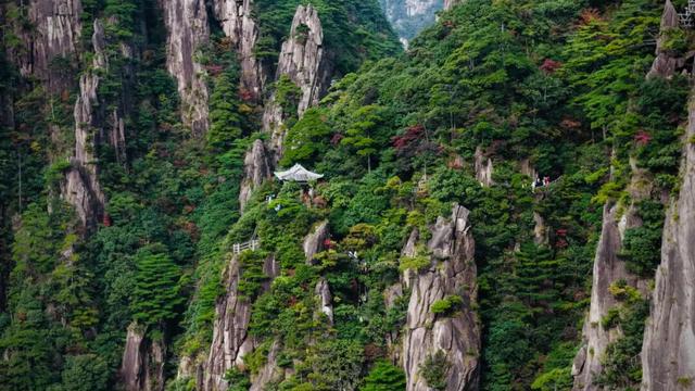 出片率100%！黄山风景区进入最佳赏秋期