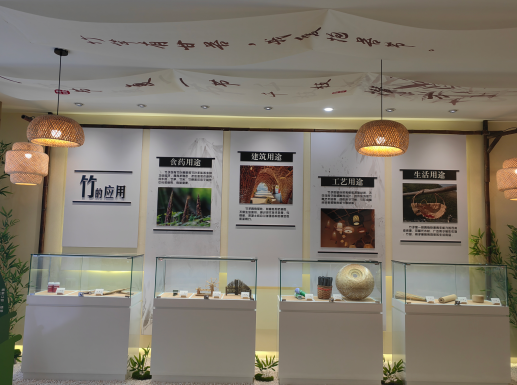 秋假宝藏打卡地｜黄坭镇“滚滚House”：带孩子开启一场竹海奇幻之旅！