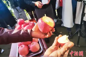 小小苹果树，种出延安致富新“钱”途图片