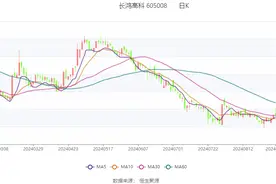 长鸿高科：2024年上半年净利润9657.09万元 同比增长16.14%图片