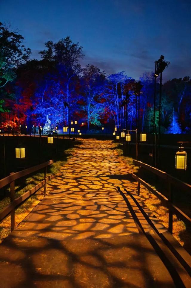 哈迷集合！全国首家“哈利·波特：禁林体验”门票免费送