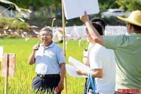 提升粮食单产和品质，隆平高科八大水稻新品系发布图片
