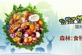 3月21日国际森林日，国家自然博物馆推出森林食物盲盒活动图片