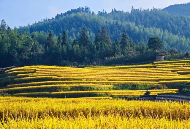 2026来江西，春夏秋冬都有趣！