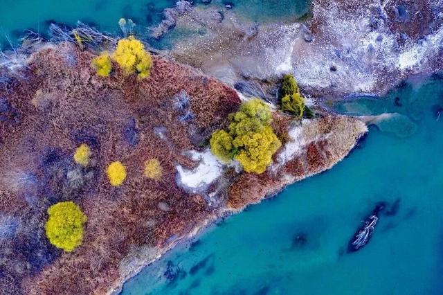 季节限定！洛阳些“海”人少景美，快出发！