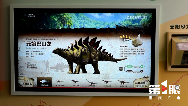 中国国家地理恐龙主题自然驿站落地云阳