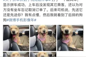 顺风车乱象：起猛了，拼车拼到狗子图片