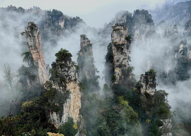 水墨画卷天子山