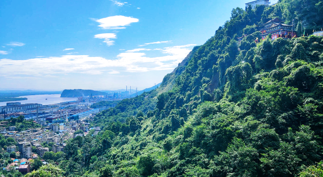 短短短短短……且赏且珍惜